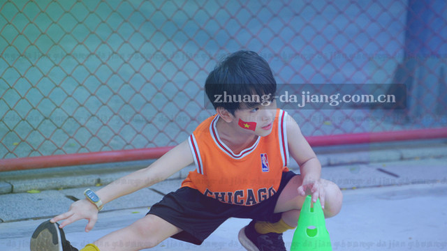 反馈数据图表准备中